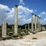 Salamis
