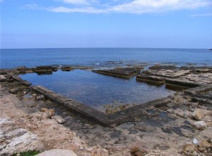 Lambousa Fish Tanks